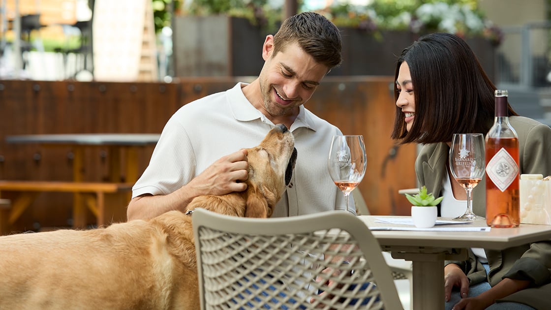 Wine Tastings at The Schoolhouse District